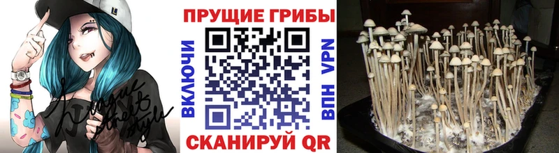 Галлюциногенные грибы Magic Shrooms  KRAKEN сайт  Сычёвка 